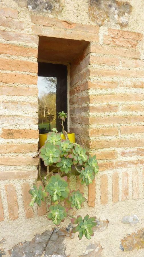 Moulin De Rimer Auvers-le-Hamon Exterior foto